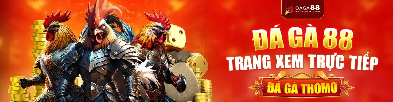 Tổng quan luật chơi rr8 game