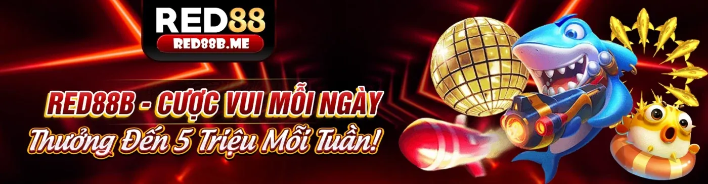 rr8 game Phương Thức Thanh Toán An Toàn