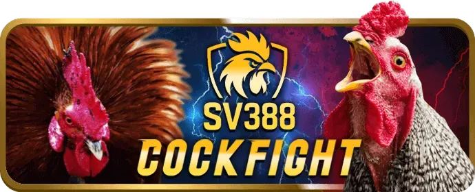 Biểu Mẫu Liên Hệ rr8 game